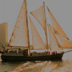 Tall ship 2 Rotterdam